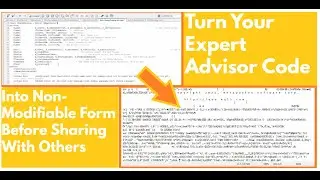 How to Protect Your EA From Being Stolen (Real Method)