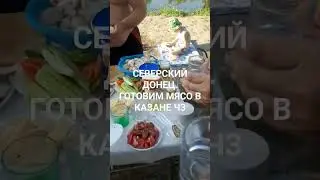 Северский Донец. Готовим мясо в мангале ч3