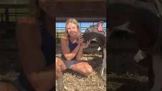 this week on the farm!! 