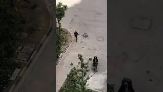 Saludo a la distancia 