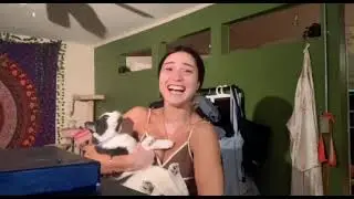 HE Matched the energy# 25 Viral Short |Viral Short|