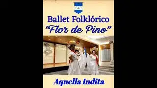 Ballet Folklórico Flor de Pino - Aquella Indita.