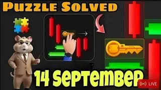 14 I September Hamster kombat daily key | Today Hamster kombat daily key