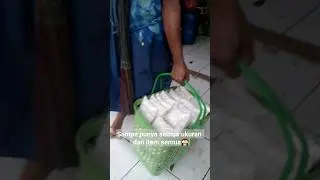 Jilbab andalan dan kebanggaan pas ke pasar | Toko| Pasar 