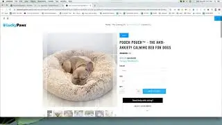 Some Moz Keyword Explorer Practice