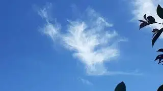 CAPTURED