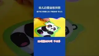 Panda Juniors Jigsaw Puzzles for baby