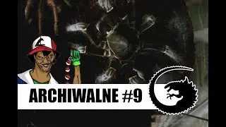 ARCHIWALNE #9: Dopuszczanie Hysterocrates gigas