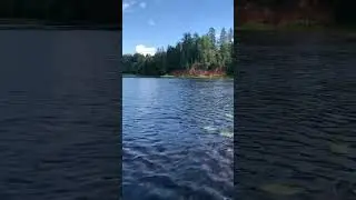 Лодка. Река Оредеж. Рождествено. (6)