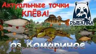 Current fishing spots on Lake Komarinoye. Current as of October 15, 2025. Russian Fishing 4.