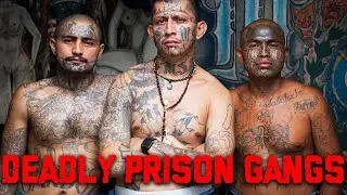 The Worlds Deadliest Prison Gangs