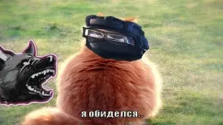 ОБИЖЕНКА