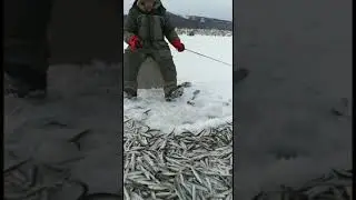 Удивительная рыбалка 1
