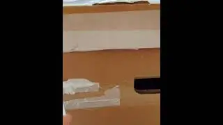 Коты. Кот в коробке Cats. Cat in the box