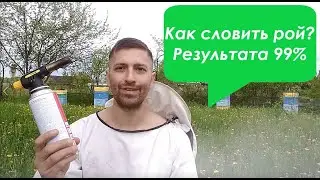 Как поймать рой пчёл. Результат 99%. Готовим улей или ловушку, чтобы словить пчелиный рой.