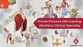 Primal Pictures title training: Dentistry Clinical Specialty