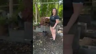 Can You Plant In The Summer?
