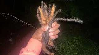 I CUT MY DREADS 😢
