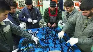 Z - Росвакуум. Мы вместе!