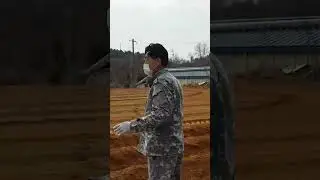 DAMBUHALANG TRUCTOR SA KOREA