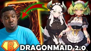 Dragonmaid Received Some New Support (  Yugioh Budget Dragonmaid deck 2024)