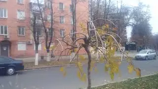 Бендеры Центр Осень 6 Ноября 2022 год