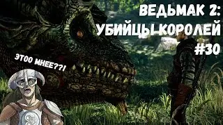 РАБОТА ДЛЯ ДОВАКИНА! (Прохождение Ведьмак 2: Убийцы королей #30)