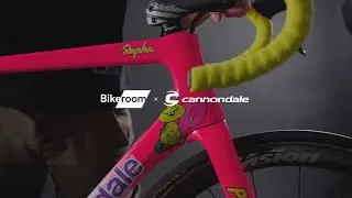 The Cannondale Fever | A troop of selected collector pieces