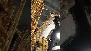 Is this the most beautiful sax ever made?! The Yanagisawa TWO32 🤤