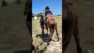 That feeling when you're finally on the horse at the beach 