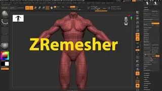 Học Cùng Master Zbrush - ZRemesher 