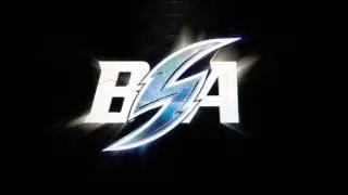 BSA logo transformation