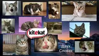 Китикет в двух словах. 2 серия