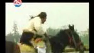 Tibetan Song The Horse