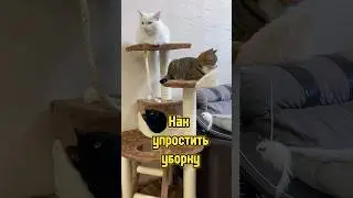 Как упростить уборку 🧹 #уборка #порядоквдоме #чистота #питомцы #котики