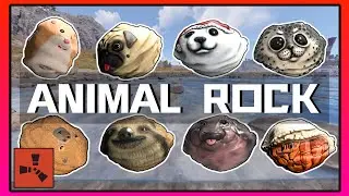 Rust Skins – Animal Rock Skins Showcase