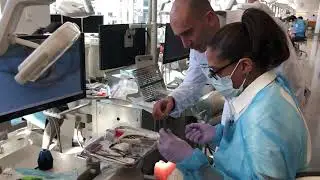 Aesthetic dentistry -  Sardinia Dental teaching center  - Dr.Simone Deliperi