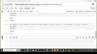 Float and String Data Type in Python