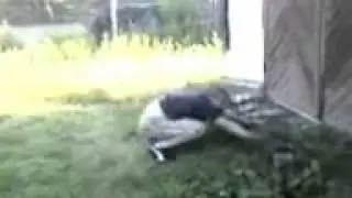 Прикол Acrobat Акробат