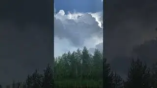 #лес #тишина #природа #врекомендации #лето2024