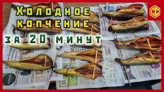 Холодное копчение рыбы за 20 минут | Дымогенератор для холодного копчения