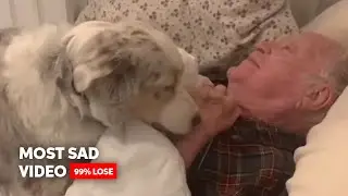 MOST SAD VIDEO | HARD TO RESIST (99% LOSE!) | TRY NOT TO CRY