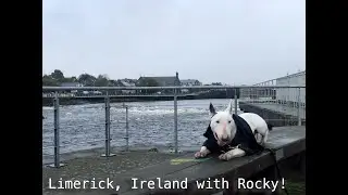An afternoon in Limerick, Ireland with Rocky!