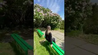Природа просыпается