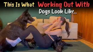 This Is What Working Out With Dogs Look Like..