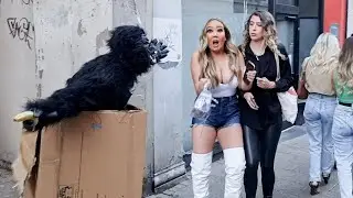 BEST SCARE PRANK IN ENGLAND/ GORILLA PRANK