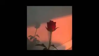 Giveon x Drake Type Beat- 