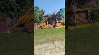 29 августа 2024 г.