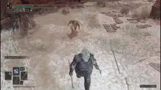 whacky duel