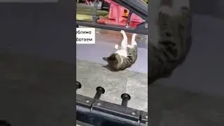 песня метро Люблино работаем😂😂😂